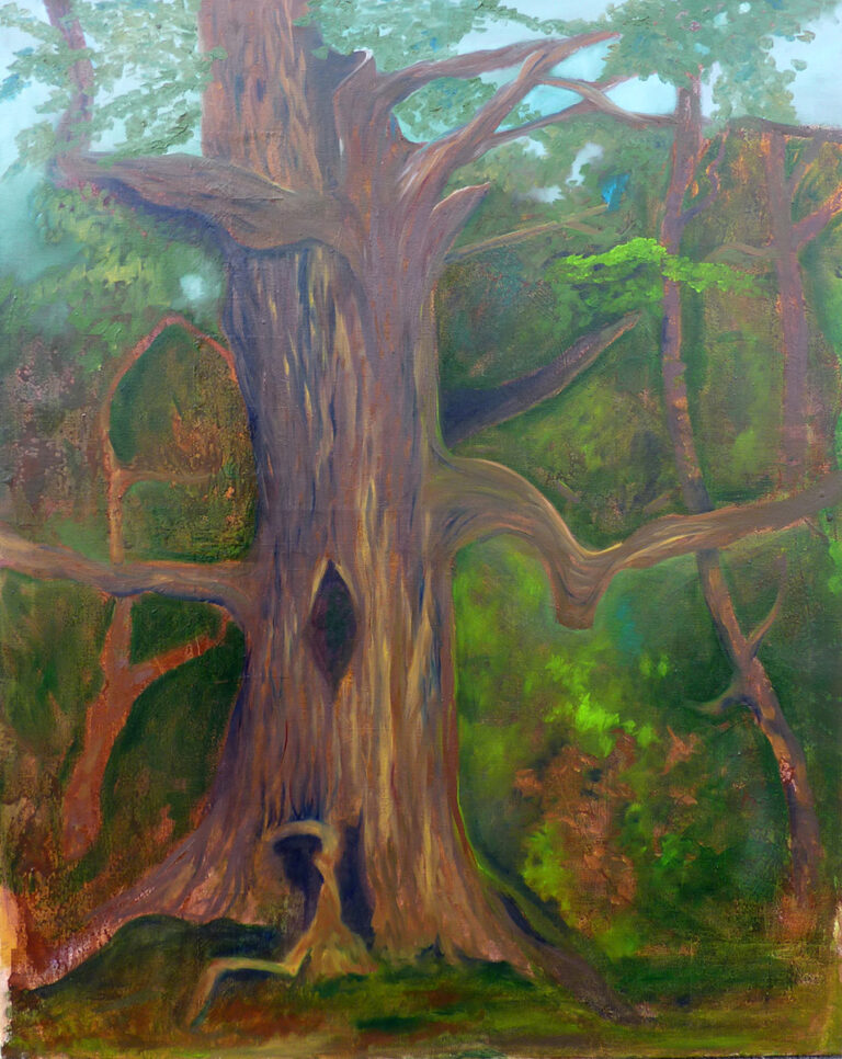 Kamneiche, Öl auf Leinwand, 80 x 100 cm, Ariane Zuber